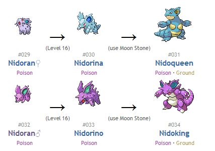 nidoqueen evolution|nidoqueen evolution level.
